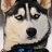 yukai